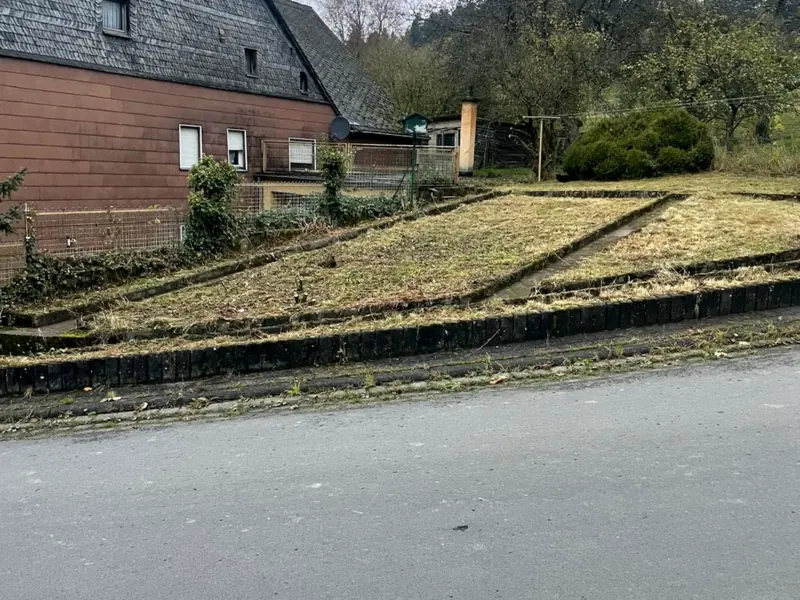 Frisch gemähte, gepflegte Rasenfläche