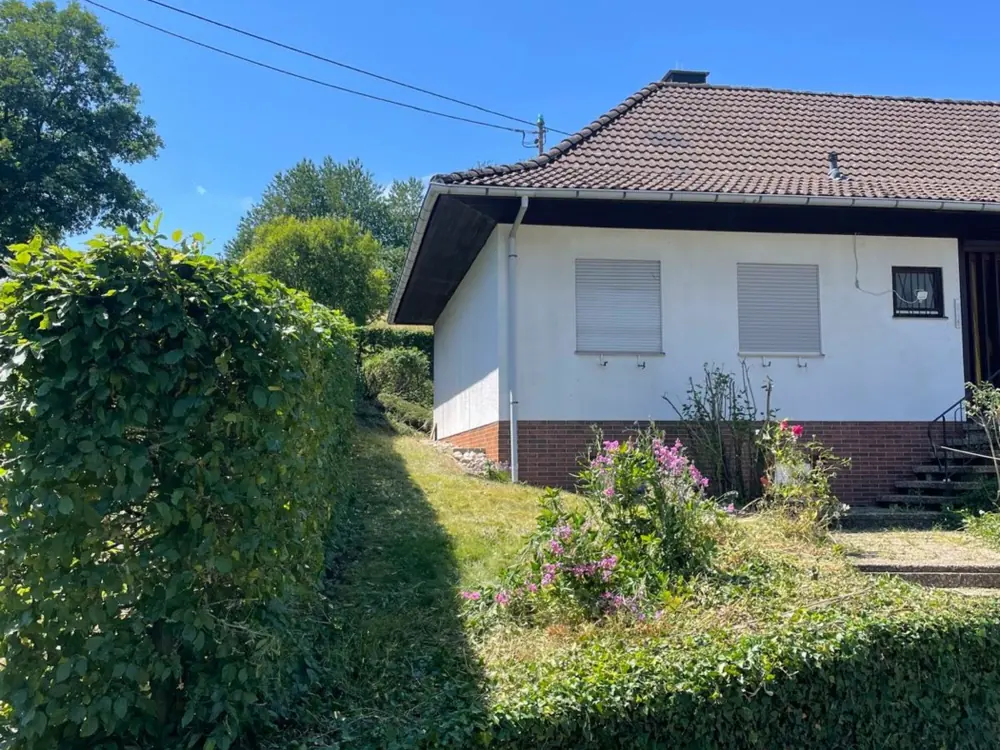 Dasselbe Grundstück nach der Gartenpflege, Hecke gepflegt