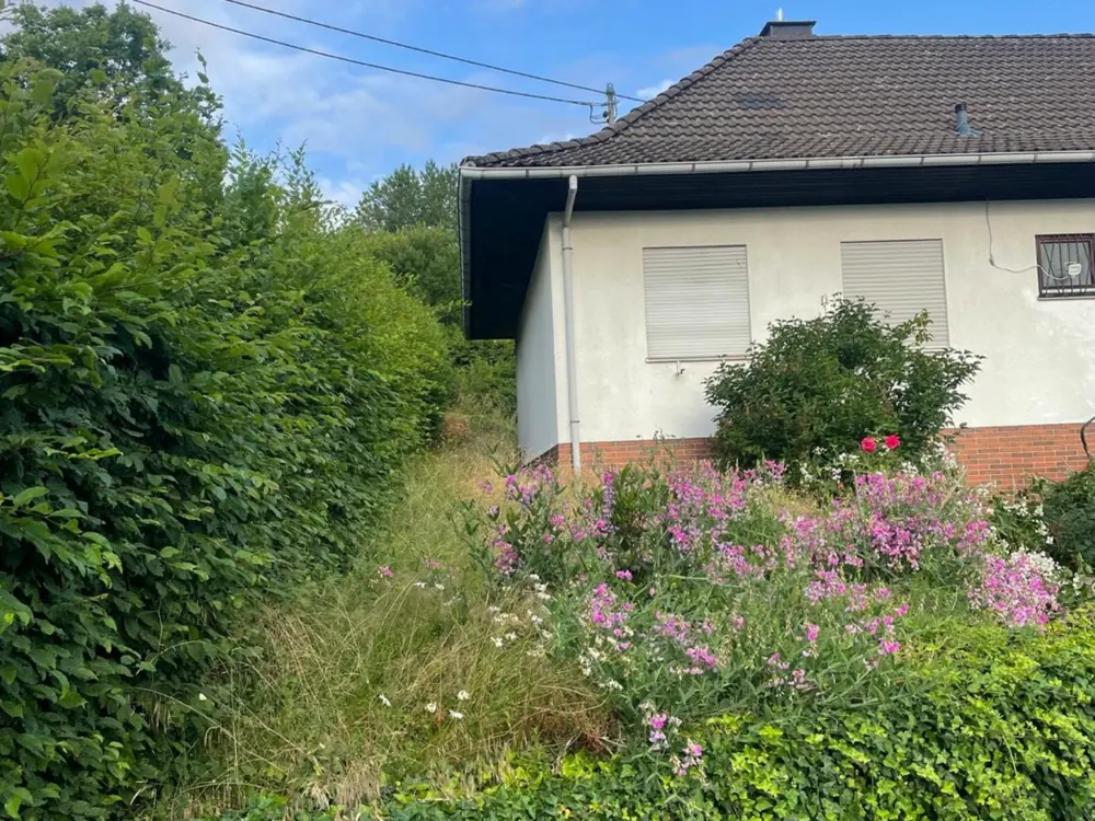 Grundstück vor der Gartenpflege, Hecke und Grünfläche ungepflegt