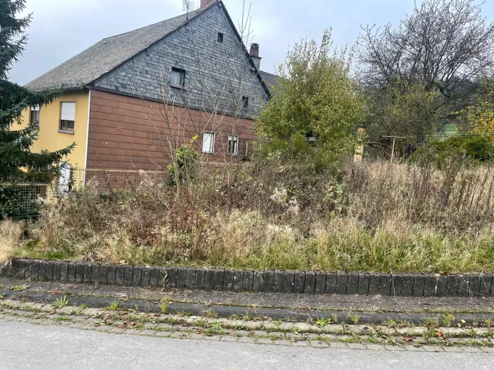 Zugewachsenes Grundstück vor der Pflege