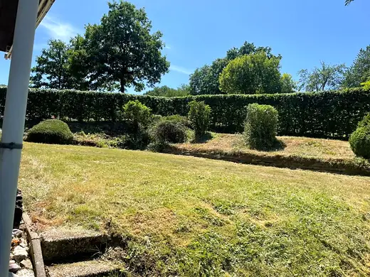 Gepflegter Garten mit gemähtem Rasen und geschnittener Hecke