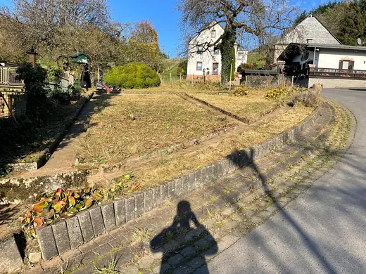 Gemähte und freigeschnittene Grünfläche